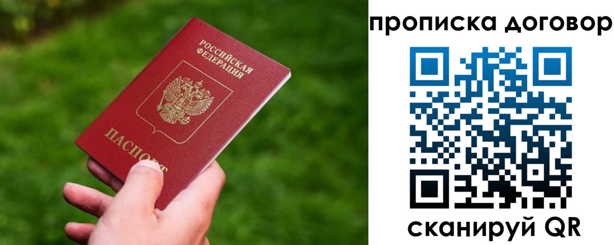 прописка гарантия в Фокино